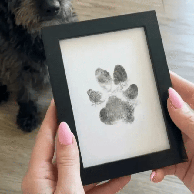 Kit d'empreinte à l'encre pour chien