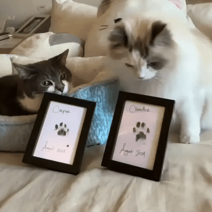 Kit d'empreinte à l'encre pour chat