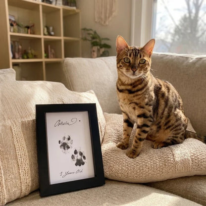 Kit d'empreinte à l'encre pour chat