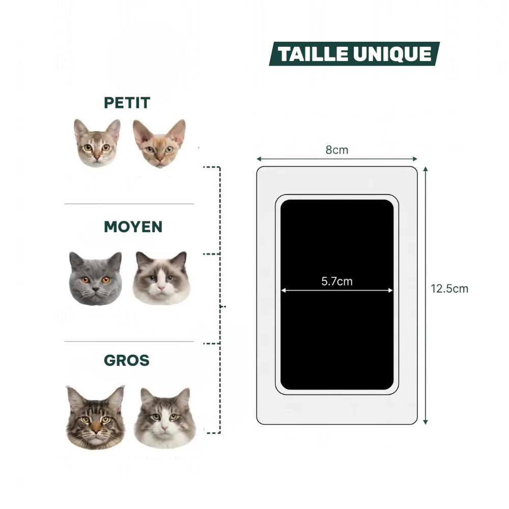Kit d'empreinte à l'encre pour chat