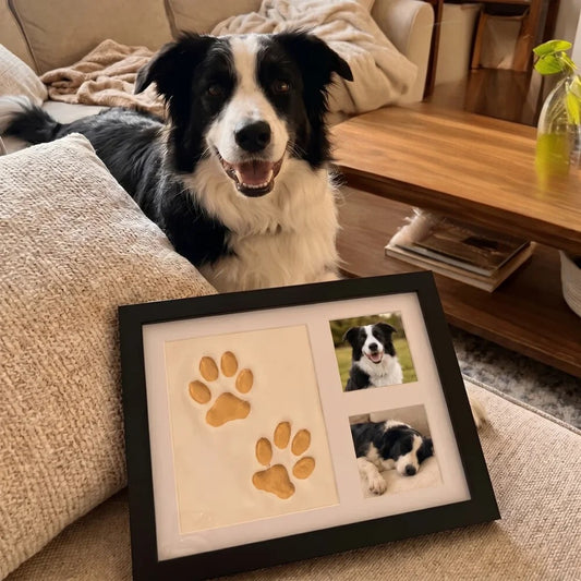 Kit d'empreinte à l'argile pour chien
