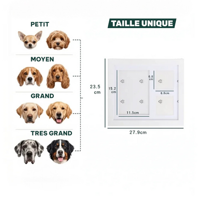 Kit d'empreinte à l'argile pour chien