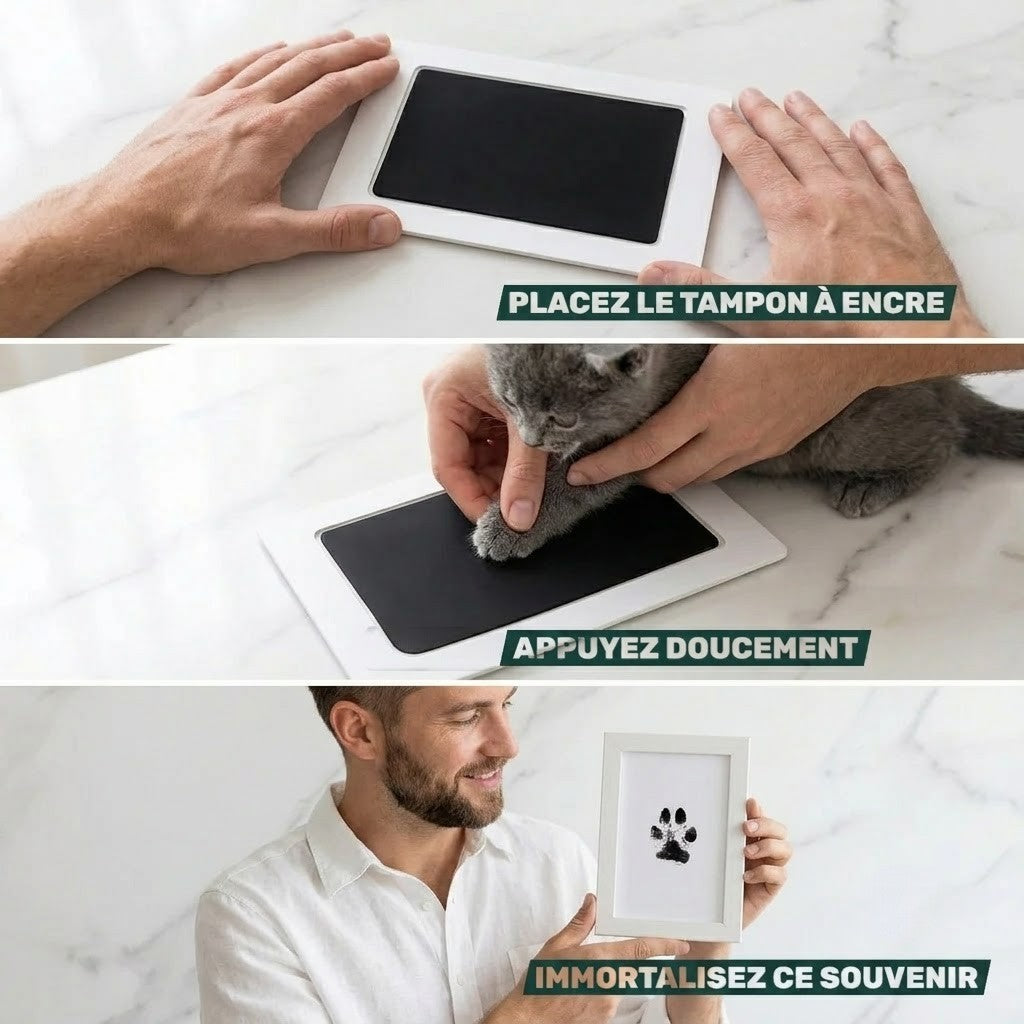 Kit d'empreinte à l'encre pour chat