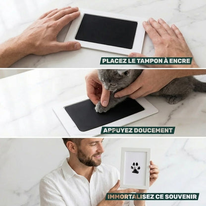 Kit d'empreinte à l'encre pour chat