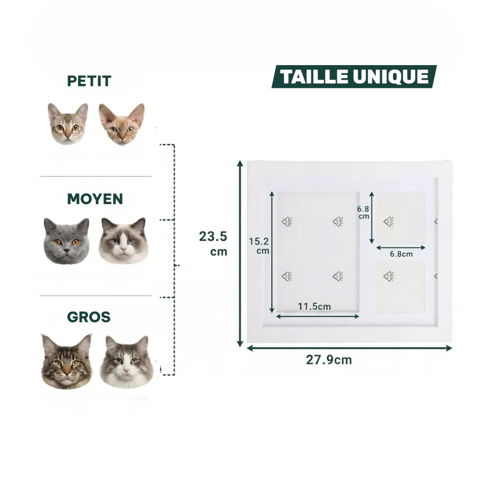 Kit d'empreinte à l'argile pour chat